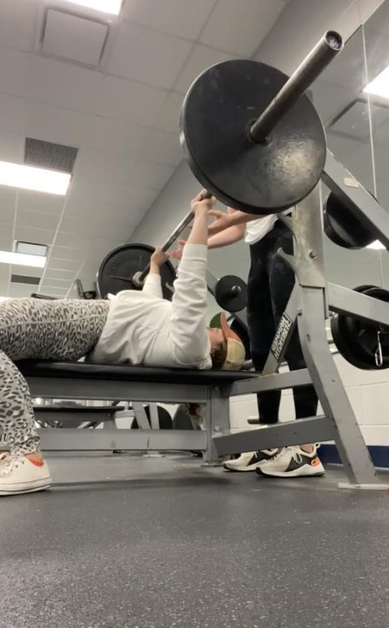 Senior Jessica Scaffidi bench presses in a gym. She promotes physical fitness on her Instagram account.
