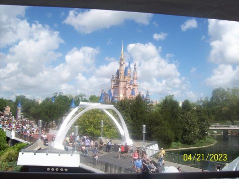 The Views of a Trip to Disney and Universal