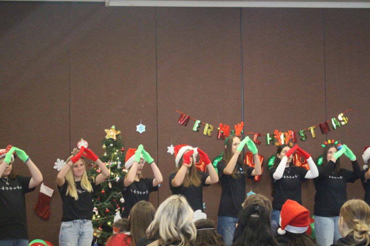 ASL students entertain guests during the party.