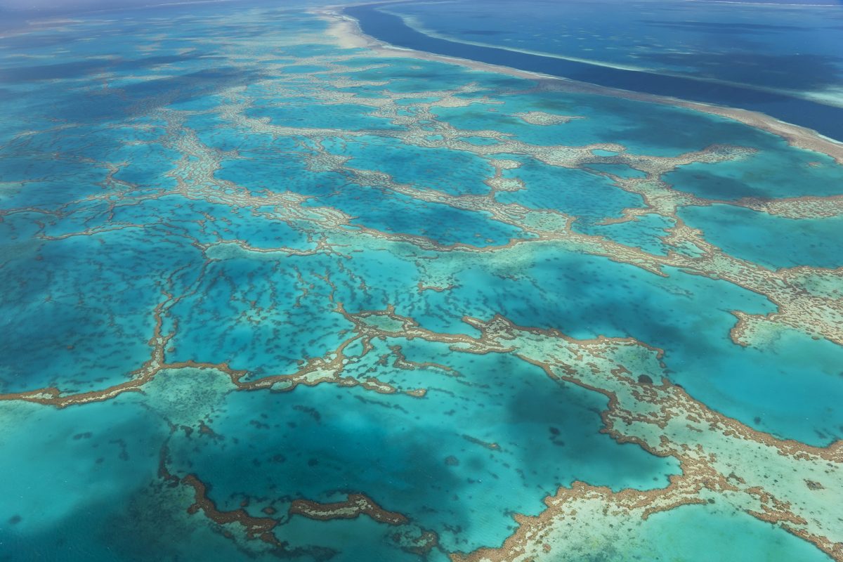 The Great Barrier Reef off the coast of Queensland, Australia.